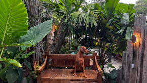 Beach Jungle - Pet-Friendly Hot Tub, Firepit & Pool in Beachside Hideaway